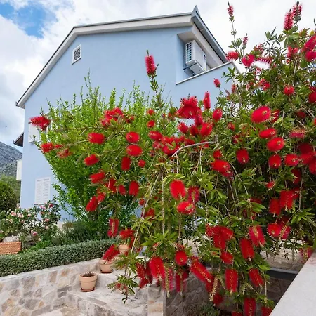 Ivana アパート *