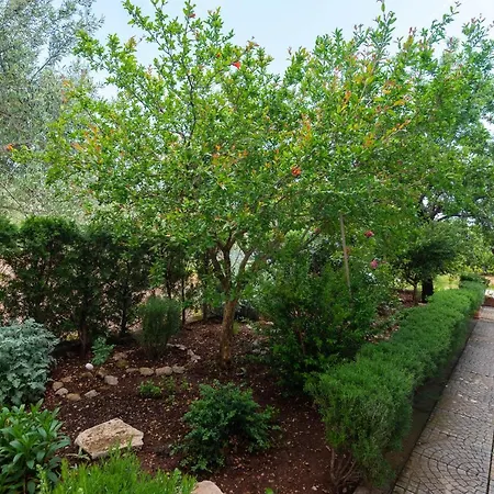 アパート Ivana *